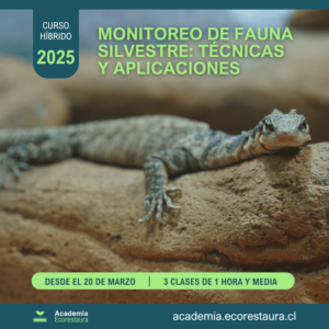 Monitoreo de Fauna Silvestre: Técnicas y Aplicaciones