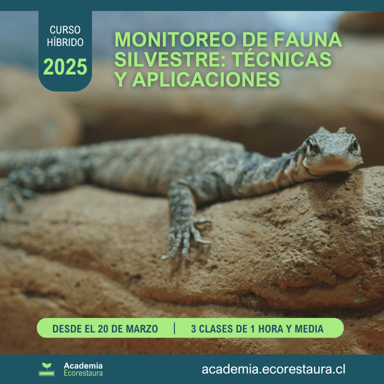 Monitoreo de Fauna Silvestre: Técnicas y Aplicaciones